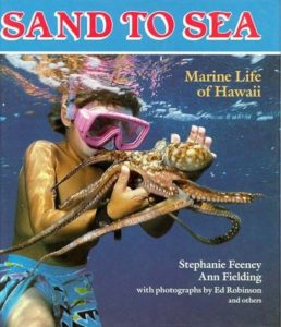 Sand to Sea: Marine Life of Hawaii