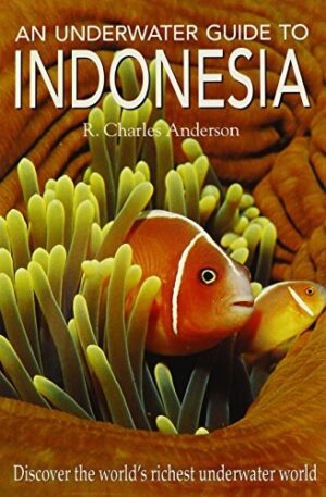 An Underwater Guide to Indonesia