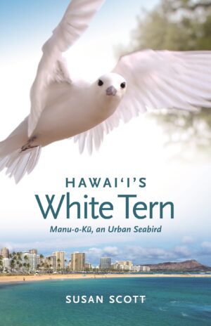 Hawai‘i’s White Tern: Manu-o-Kū