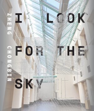 Zheng Chongbin: I Look for the Sky