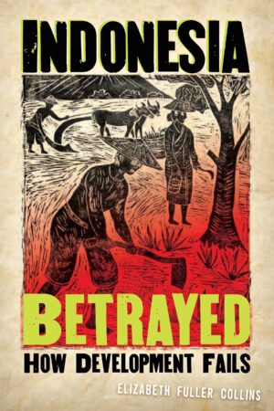Indonesia Betrayed: How Development Fails