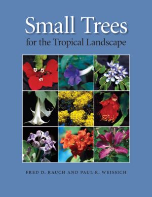 Small Trees for the Tropical Landscape