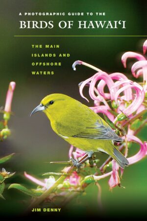 A Photographic Guide to the Birds of Hawaii: The Main Islands and Offshore Waters
