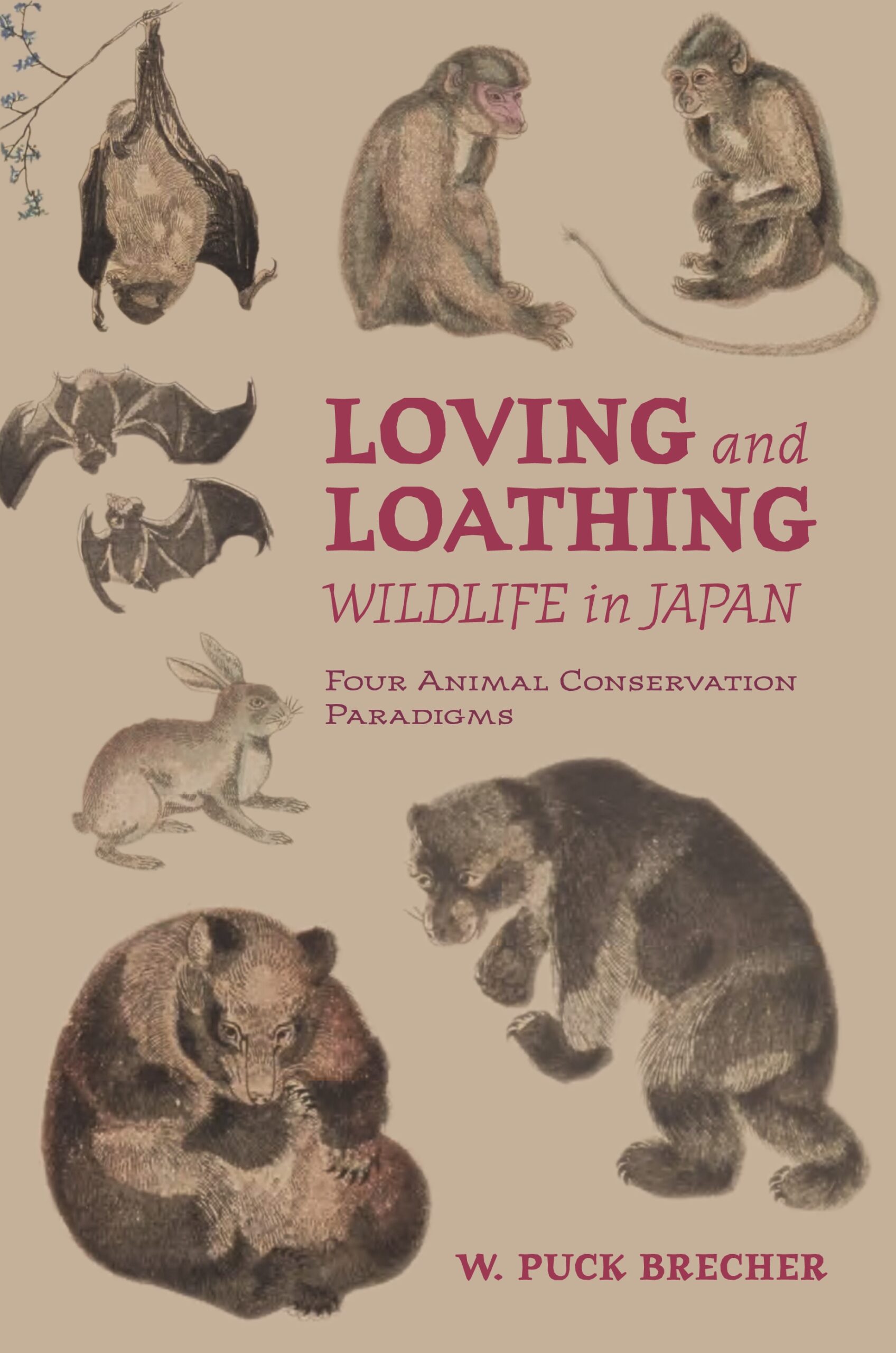 自然保護（全４巻） Conservation (4-Volume Set) 自然保護（全4巻） Conservation (4-Volume Set) 自然保護（全4