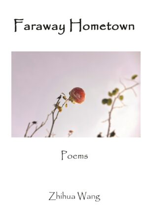 Faraway Hometown: Poems